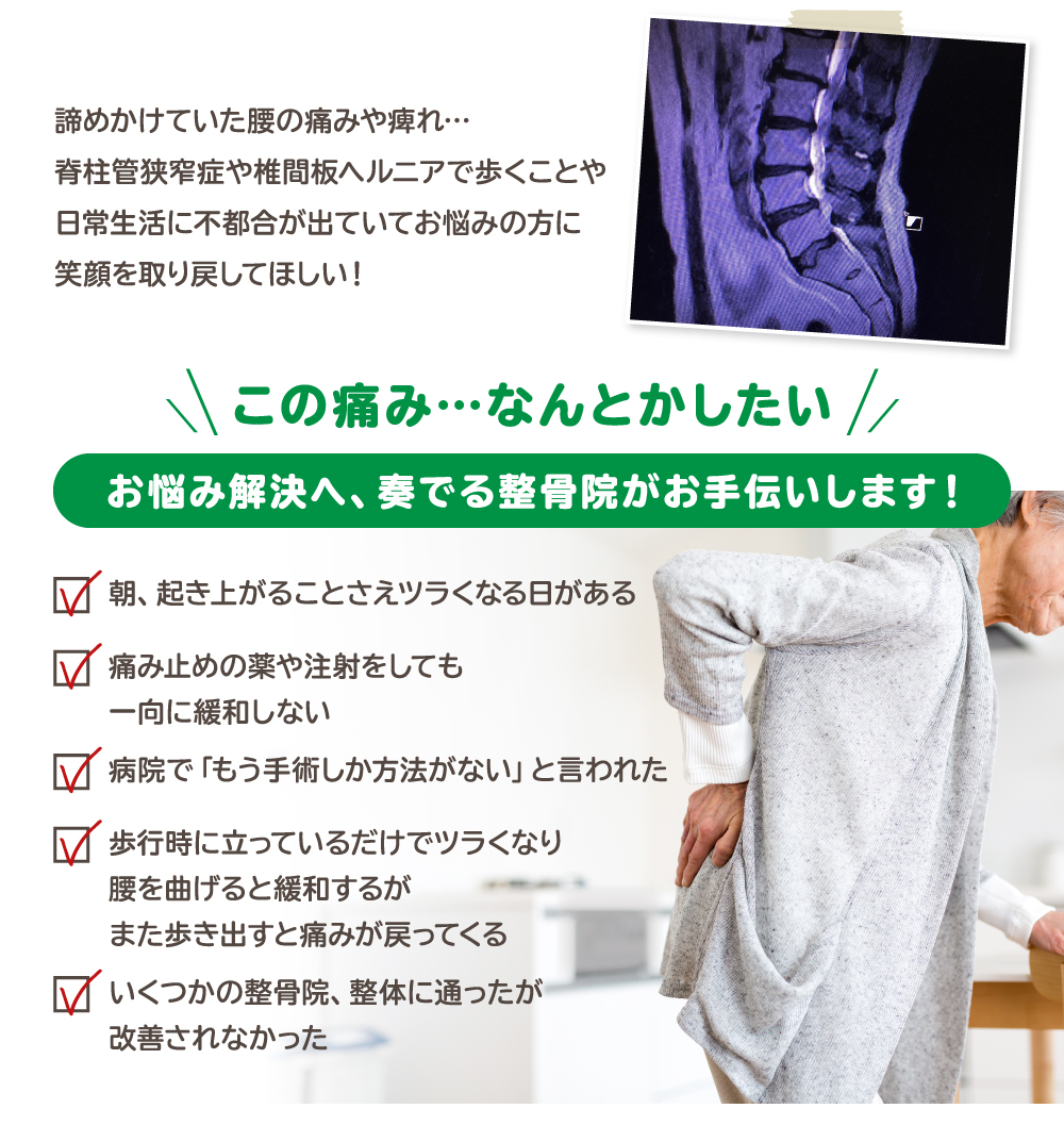 脊椎管狭窄症 椎間板ヘルニア